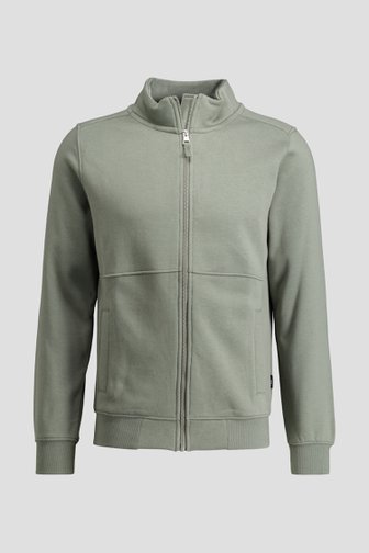 Le devant de Veste gris-vert zippée de Liberty Island pour Hommes