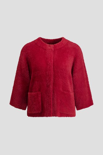 Voorkant van Wijnrode cardigan met lange mouwen door Claude Arielle voor Dames