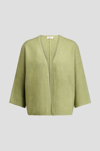 Voorkant van Zachtgroene cardigan door Libelle voor Dames