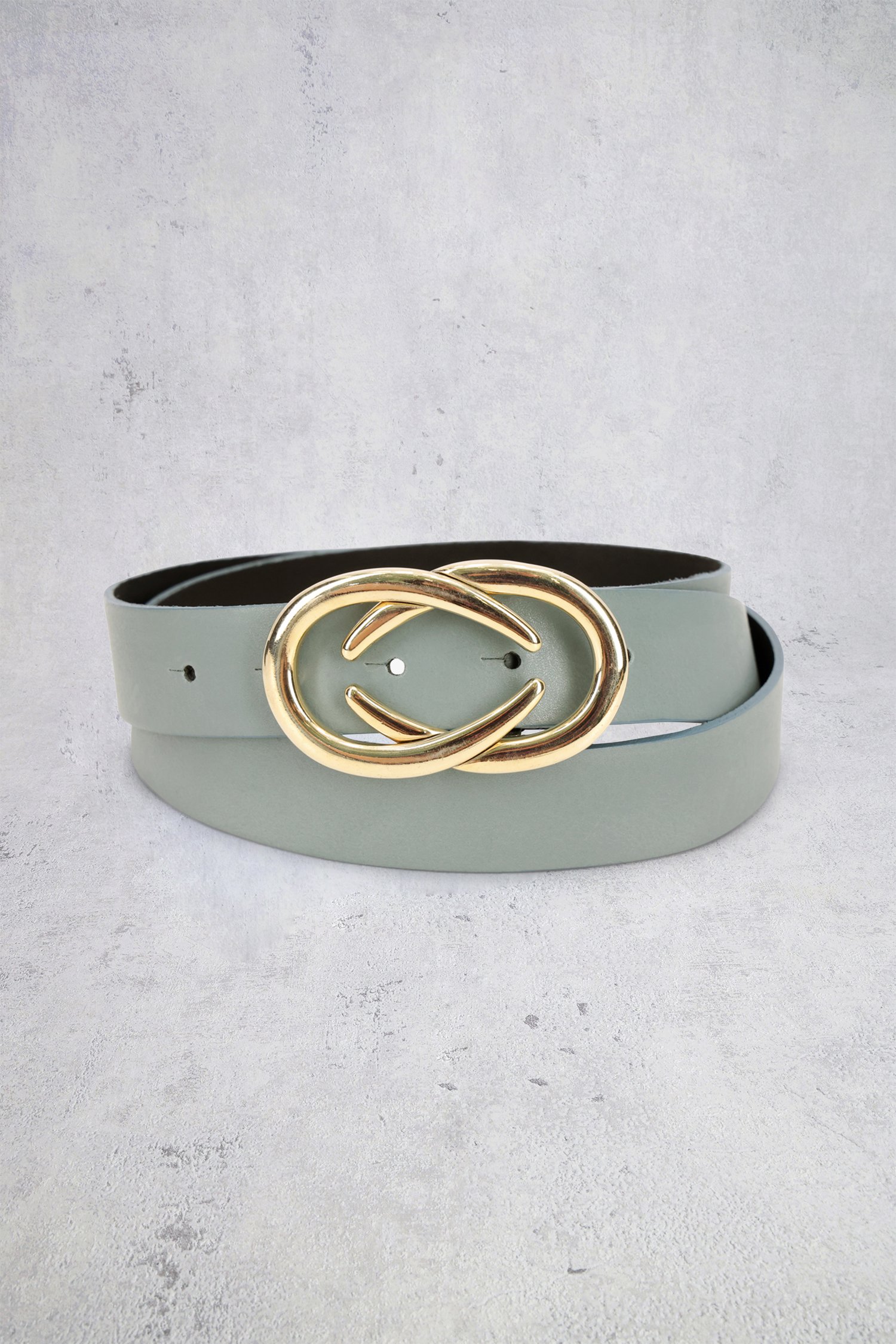 Voorkant van Blauwgrijze riem met gouden detailgesp door D'Auvry voor Dames