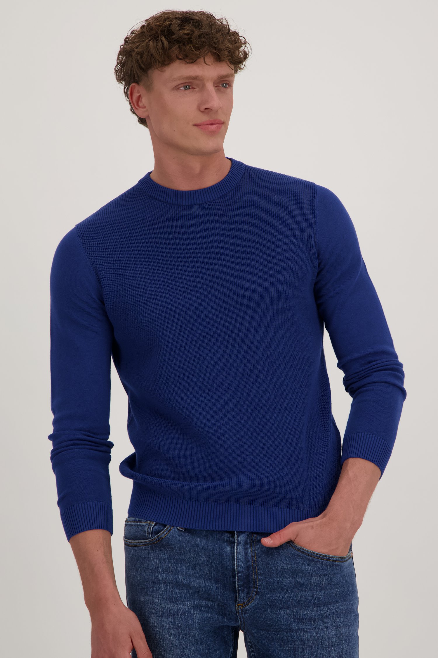 Katoenen pullover heren sale