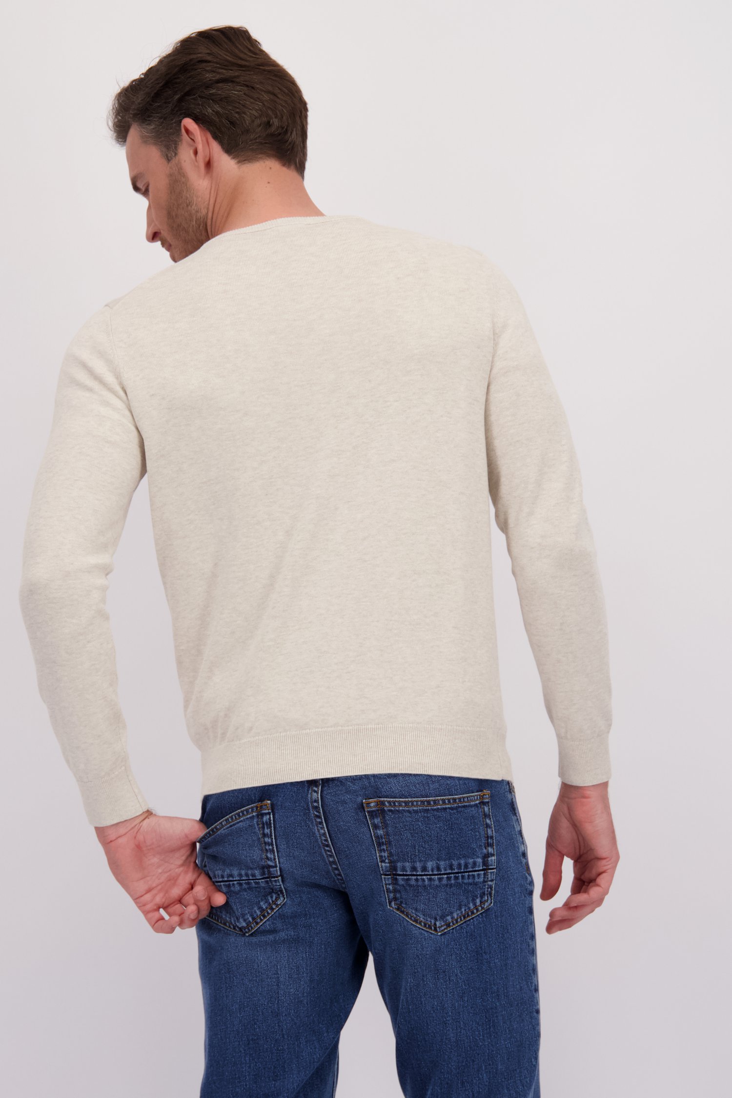 Achterkant van Fijne beige trui met V-hals door Dansaert Blue voor Heren