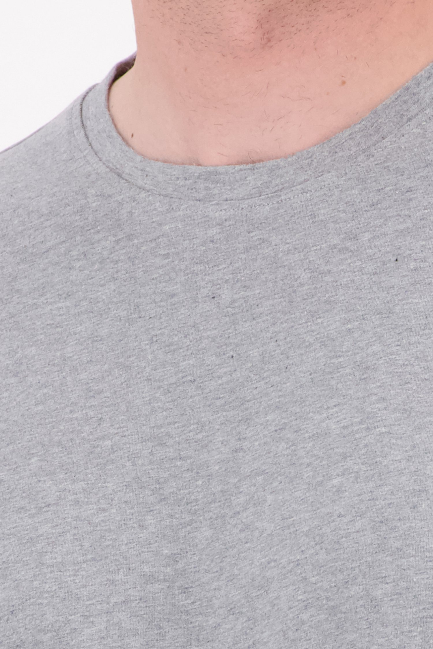 Grijs T-shirt met ronde hals van Ravøtt voor Heren