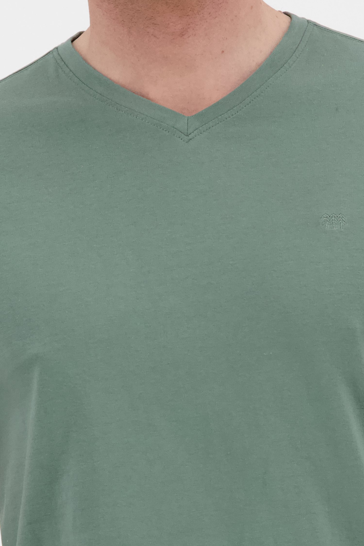 Grijsgroen T-shirt met V-hals van Ravøtt voor Heren