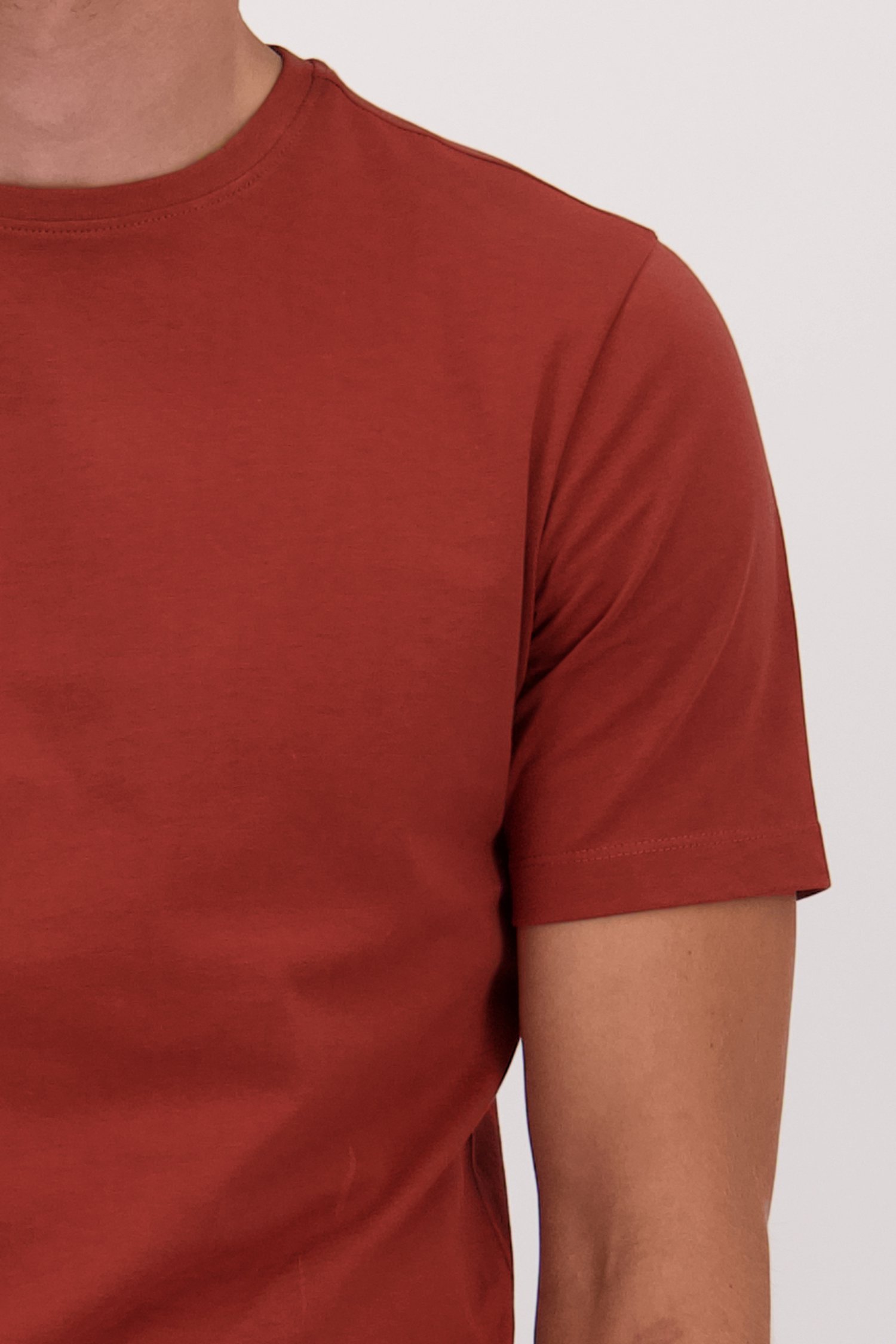 Detail van Roestkleurig T-shirt met ronde hals door Liberty Island voor Heren