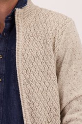 Detail van Beige cardigan met rits  door Ravøtt voor Heren