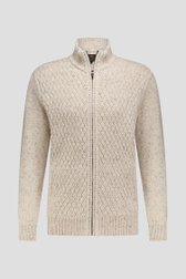 Productfoto 1 van Beige cardigan met rits  door Ravøtt voor Heren