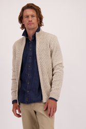 Voorkant van Beige cardigan met rits  door Ravøtt voor Heren