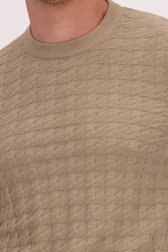 Detail van Beige trui in katoen door Casual Five voor Heren