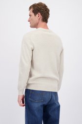 Achterkant van Beige trui met lange mouwen door Ravøtt voor Heren