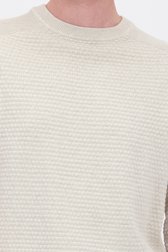 Detail van Beige trui met lange mouwen door Ravøtt voor Heren
