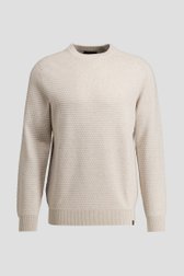 Productfoto 1 van Beige trui met lange mouwen door Ravøtt voor Heren
