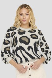Voorkant van Beige trui met zwarte animal print  door JDY voor Dames