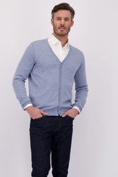 Voorkant van Blauwe fijn gebreide cardigan door Dansaert Black voor Heren