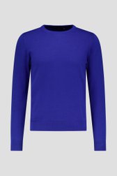 Blauwe trui met ronde hals van Dansaert Blue voor Heren