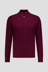 Productfoto 1 van Bordeaux cardigan met kabelmotief  door Dansaert Blue voor Heren