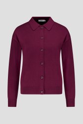 Productfoto 1 van Bordeaux cardigan met polokraag door Liberty Island voor Dames