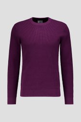 Productfoto 1 van Bordeaux gebreide trui met ronde hals door Casual Five voor Heren