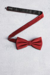 Voorkant van Bordeaux strik door Liberty Island voor Heren