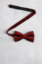 Voorkant van Bordeaux strik door Liberty Island voor Heren