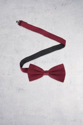 Voorkant van Bordeaux strik door Michaelis voor Heren