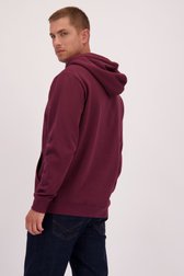 Achterkant van Bordeaux trui met kap  door Only & Sons voor Heren