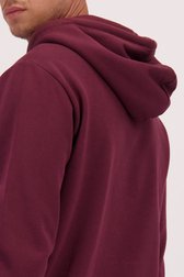 Detail van Bordeaux trui met kap  door Only & Sons voor Heren