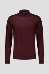 Productfoto 1 van Bordeaux trui met rolkraag door Dansaert Black voor Heren