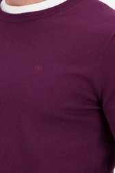 Bordeaux trui met ronde hals van Dansaert Blue voor Heren