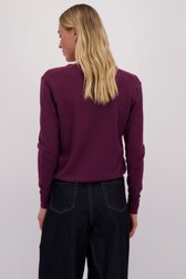 Achterkant van Bordeaux trui met V-hals door Liberty Island voor Dames