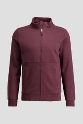 Productfoto 1 van Bordeaux vest met rits door Liberty Island voor Heren