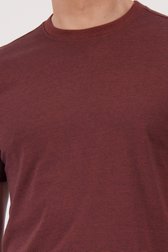 Bruin T-shirt met fijne streepjes  van Casual Five voor Heren