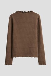 Productfoto 1 van Bruine longsleeve met structuur door Opus voor Dames