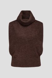 Productfoto 1 van Bruine mouwloze trui door Louise voor Dames