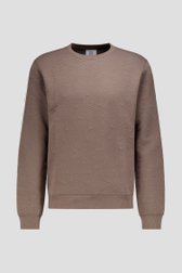 Productfoto 1 van Bruine sweater met textuur door Casual Five voor Heren