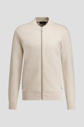 Photo produit 1 de Cardigan beige à fermeture éclair de Dansaert Blue pour Hommes