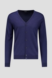 Photo produit 1 de Cardigan bleu en maille fine de Dansaert Black pour Hommes