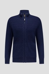 Photo produit 1 de Cardigan bleu marine zippé de Ravøtt pour Hommes