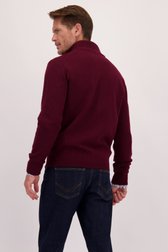 Le dos de Cardigan bordeaux à motif torsadé de Dansaert Blue pour Hommes