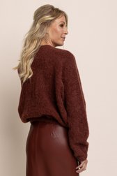 Le dos de Cardigan brun avec fermeture éclair de AC by Annelien Coorevits pour Femmes