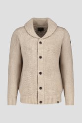 Cardigan en tricot beige avec laine de Ravøtt pour Hommes