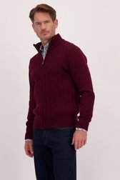 Vidéo de Cardigan bordeaux à motif torsadé de Dansaert Blue pour Hommes