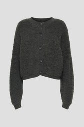 Photo produit 1 de Cardigan teddy gris de JDY pour Femmes