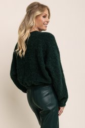 Le dos de Cardigan vert foncé avec fermeture éclair de AC by Annelien Coorevits pour Femmes