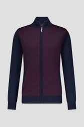 Photo produit 1 de Cardigan zippé bleu foncé en laine  de Dansaert Blue pour Hommes