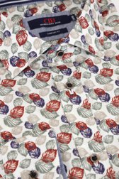 Photo produit 1 de Chemise écru à imprimé feuillage - comfort fit de Dansaert Blue pour Hommes