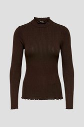 Productfoto 1 van Donkerbruin T-shirt met lange mouwen door JDY voor Dames