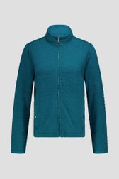 Productfoto 1 van Donkergroene cardigan met rits door Claude Arielle voor Dames