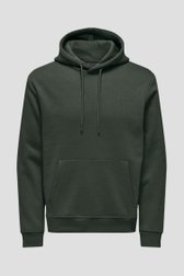 Donkergroene hoodie van ONLY & SONS voor Heren