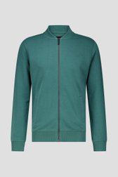 Donkergroene sweater met rits van Ravøtt voor Heren